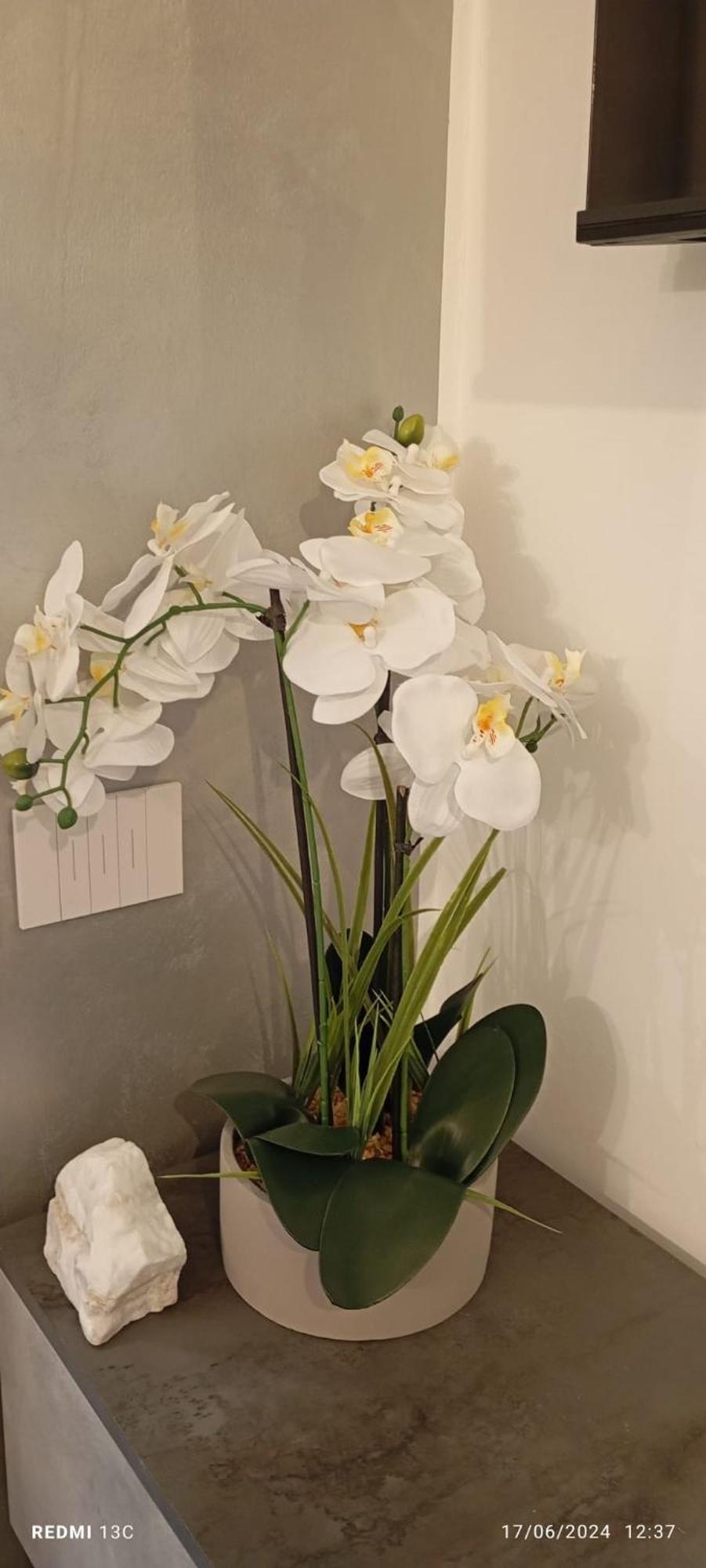 Casa Brumani 코모 외부 사진